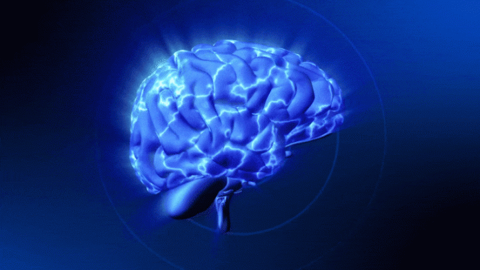 Researchers identify a molecule critical to functional brain rejuvenation