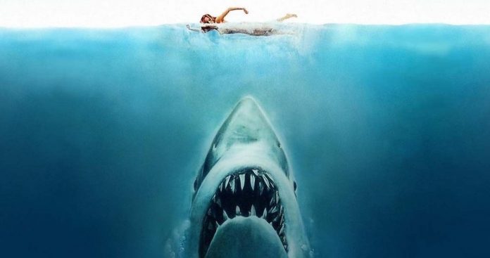 Universal's Jaws Reboot Pitch Got a Firm 'No' from Steven Spielberg