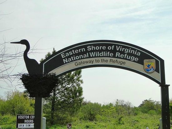 Things To Do In Cape Charles Va: Your Guide