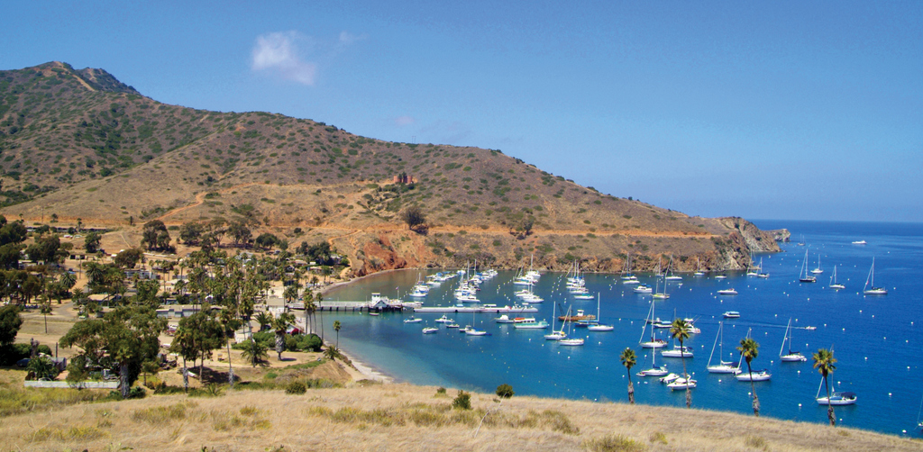 Exciting Things To Do In Catalina Island: A Complete Guide