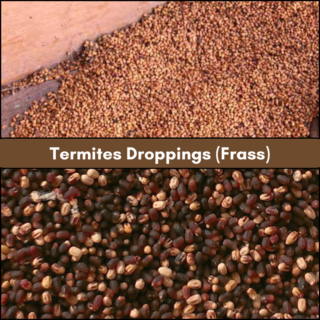 Frass/Termites Droppings